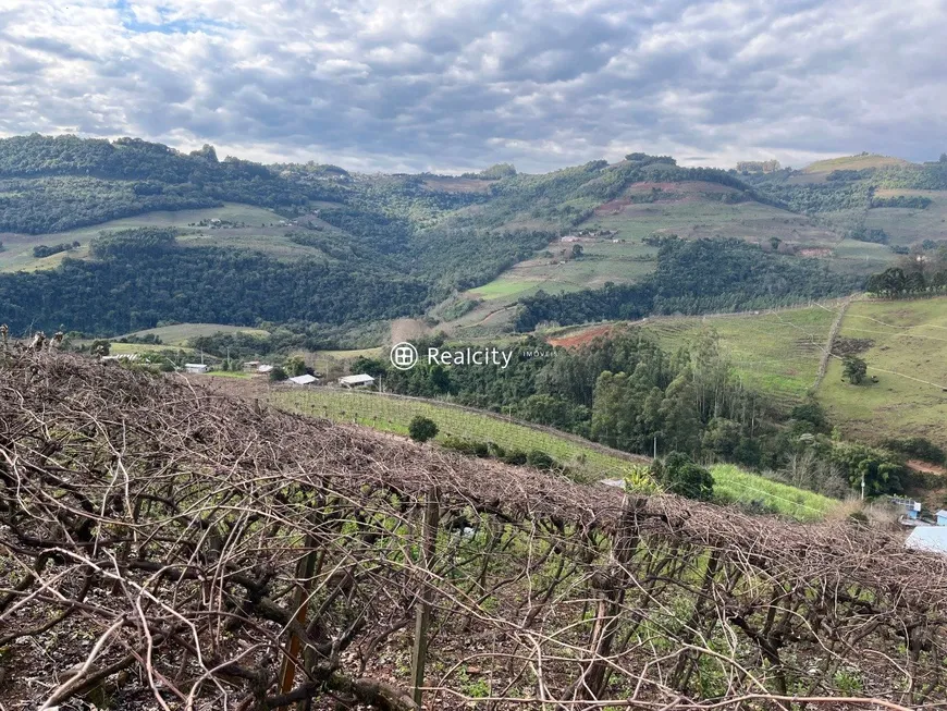 Foto 1 de Lote/Terreno à venda, 148000m² em Faria Lemos, Bento Gonçalves