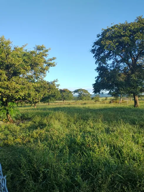 Foto 1 de Fazenda/Sítio à venda em Zona Rural, Novo Brasil