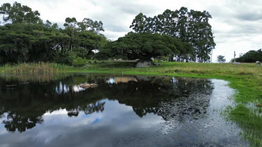 Foto 1 de Fazenda/Sítio à venda, 250m² em Passo das Pedras, Capão do Leão