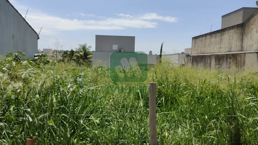 Foto 1 de Lote/Terreno com 1 Quarto à venda, 270m² em Jardim Colina, Uberlândia