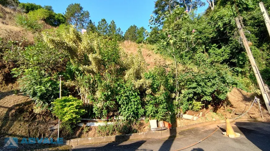 Foto 1 de Lote/Terreno à venda em Ponta Aguda, Blumenau