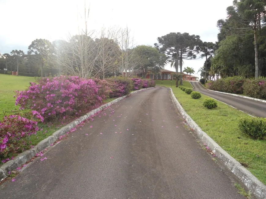 Foto 1 de Lote/Terreno à venda, 116000m² em Centro, Campina Grande do Sul