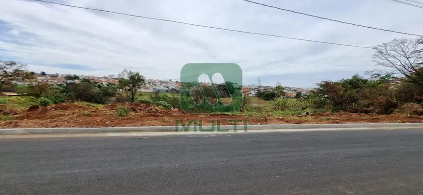 Foto 1 de Fazenda/Sítio com 1 Quarto à venda, 5025m² em Tubalina, Uberlândia