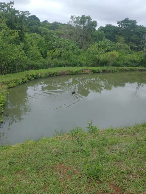 Foto 1 de Fazenda/Sítio com 3 Quartos à venda, 400m² em Zona Rural, Nerópolis