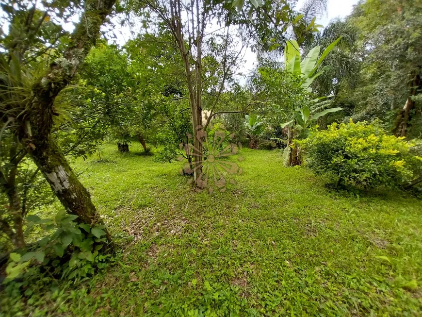 Foto 1 de Fazenda/Sítio com 3 Quartos à venda, 250m² em Roca Grande, Colombo