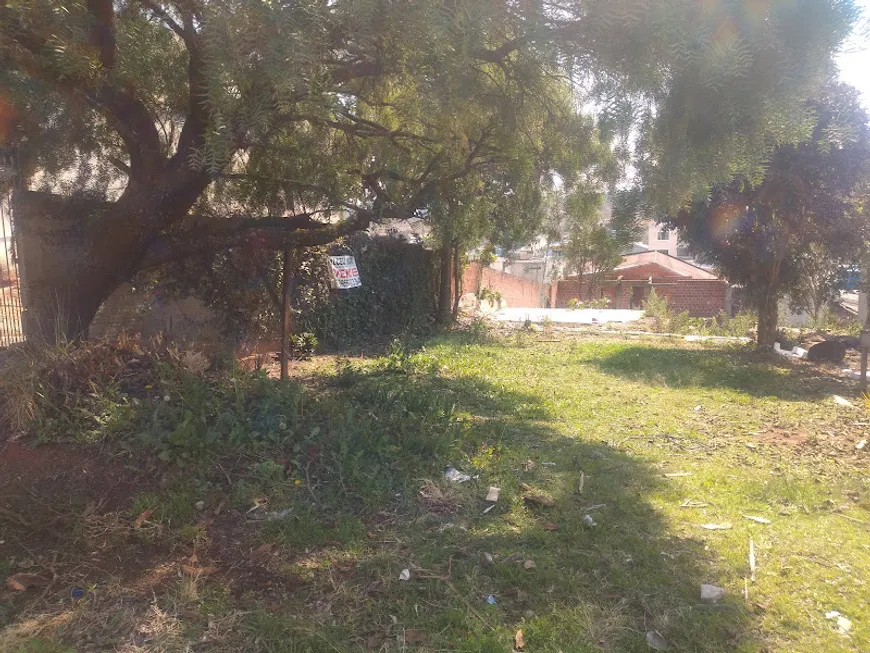 Foto 1 de Lote/Terreno à venda em Jardim Amélia, Pinhais