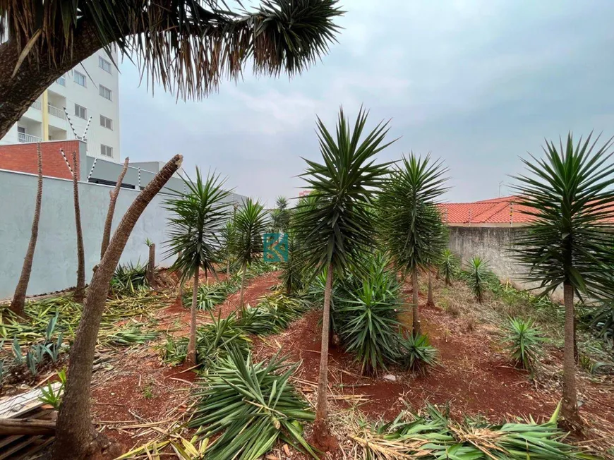 Foto 1 de Lote/Terreno à venda, 490m² em Novo Horizonte, Maringá