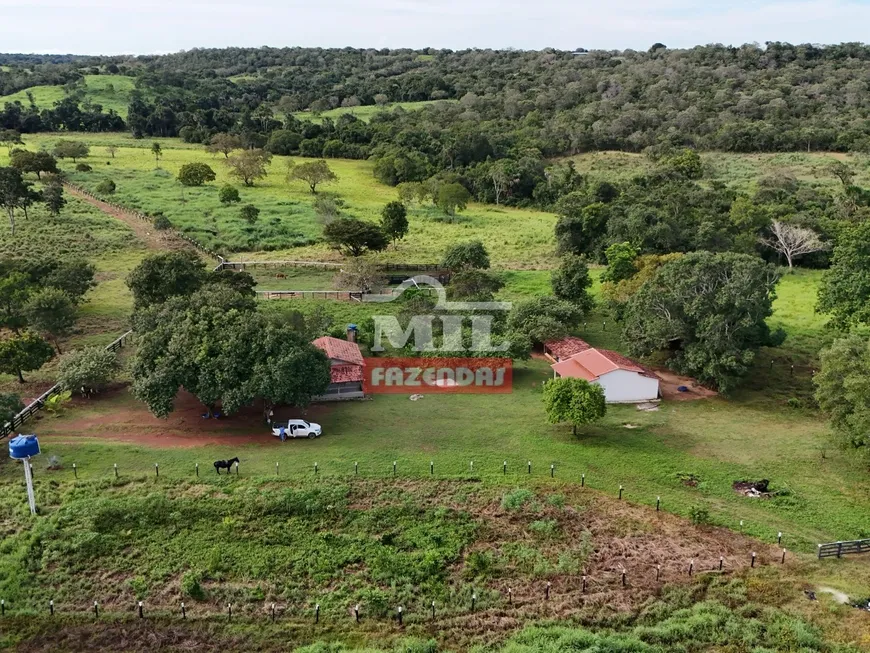 Foto 1 de Fazenda/Sítio com 3 Quartos à venda, 2450000m² em Centro, Gurupi