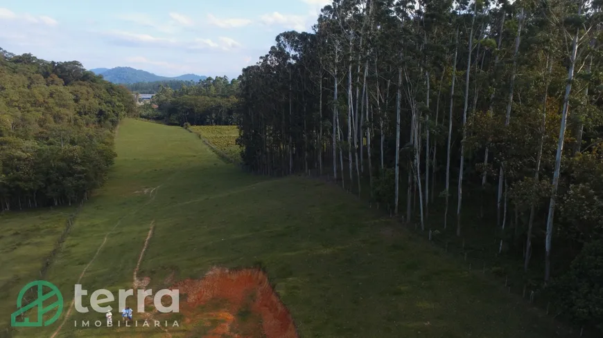 Foto 1 de Lote/Terreno à venda, 23867m² em Divinéia, Rio dos Cedros