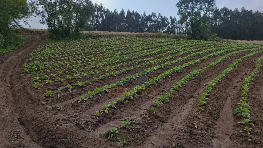 Foto 1 de Lote/Terreno à venda, 36300m² em , Quitandinha