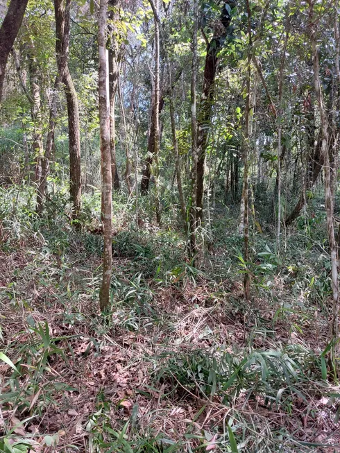 Foto 1 de Lote/Terreno à venda, 1000m² em Pasargada, Nova Lima