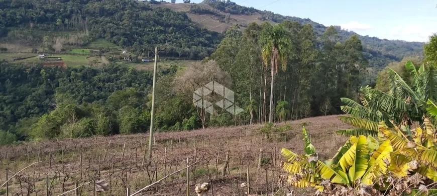 Foto 1 de Fazenda/Sítio com 1 Quarto à venda, 150100m² em Area Rural de Bento Goncalves, Bento Gonçalves