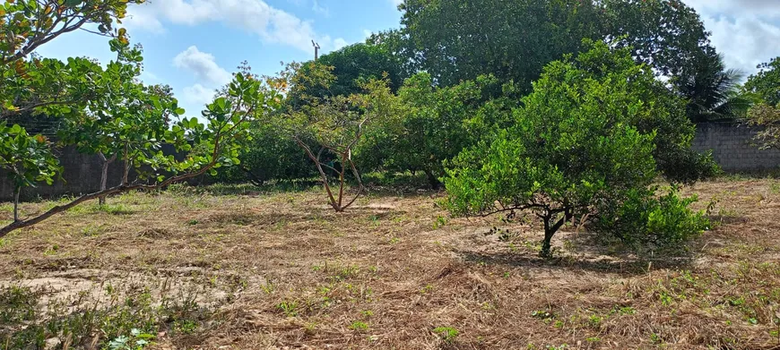 Foto 1 de Lote/Terreno para alugar, 8742m² em Messejana, Fortaleza