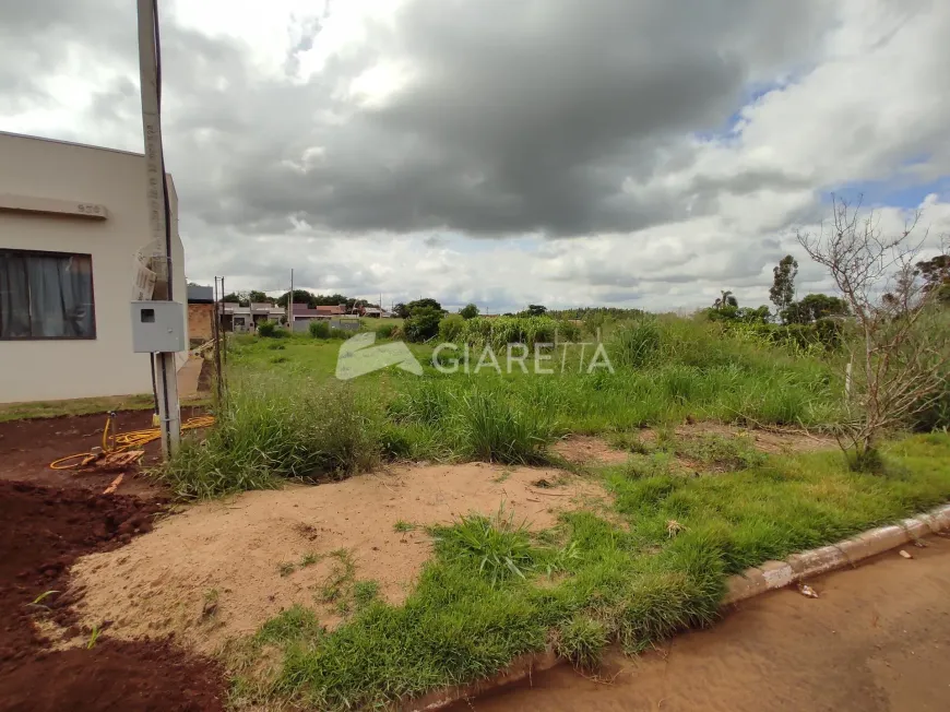 Foto 1 de Lote/Terreno à venda, 177m² em São Francisco, Toledo