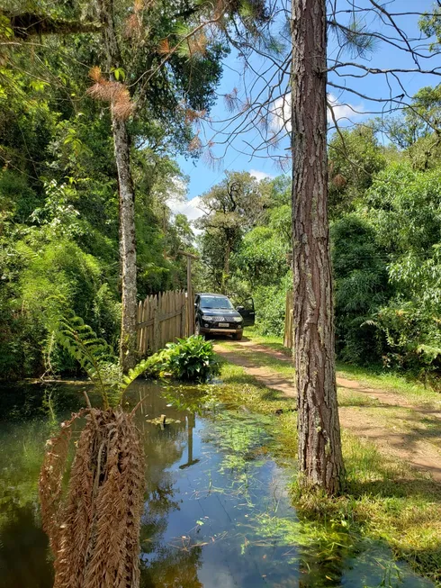 Foto 1 de Fazenda/Sítio com 1 Quarto à venda, 20000m² em Zona Rural, Gonçalves