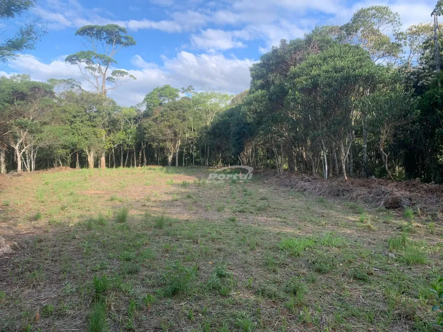 Foto 1 de Lote/Terreno à venda, 22800m² em Garcia, Blumenau