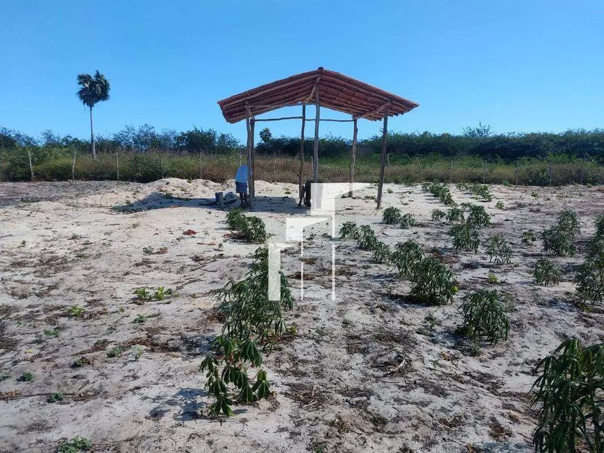 Foto 1 de Lote/Terreno à venda, 4500m² em , Cajueiro da Praia