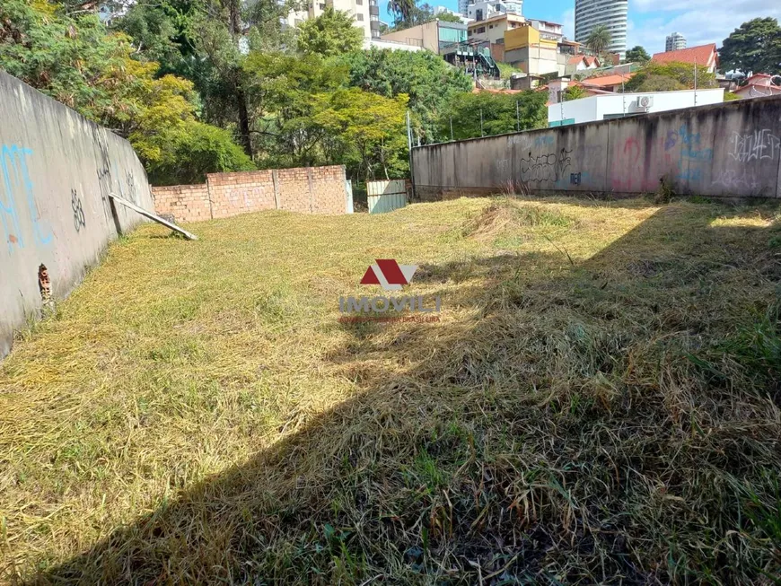 Foto 1 de Lote/Terreno à venda, 420m² em Santa Lúcia, Belo Horizonte