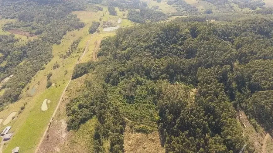 Foto 1 de Fazenda/Sítio com 3 Quartos à venda, 60m² em Pinheirinhos, Santo Antônio da Patrulha