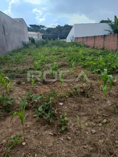 Foto 1 de Lote/Terreno à venda, 249m² em Jardim Embare, São Carlos