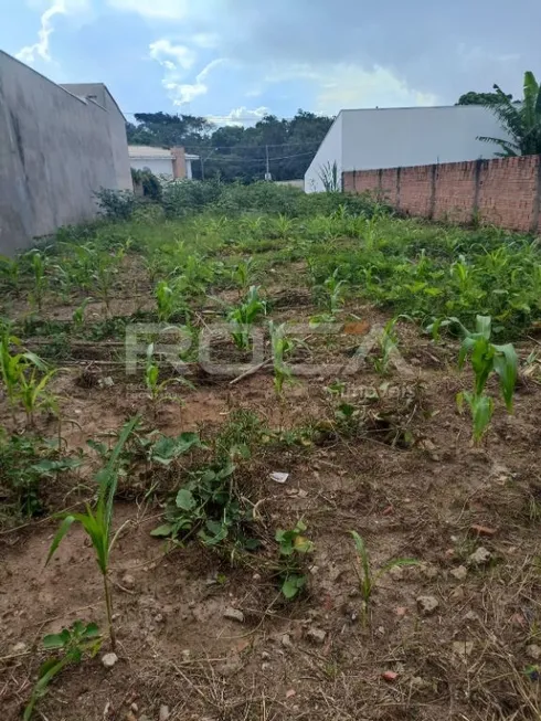 Foto 1 de Lote/Terreno à venda, 250m² em Jardim Embare, São Carlos