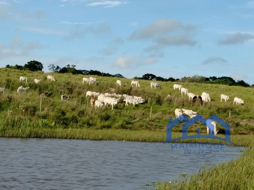 Foto 1 de Fazenda/Sítio com 3 Quartos à venda, 11374m² em Centro, Paranapanema