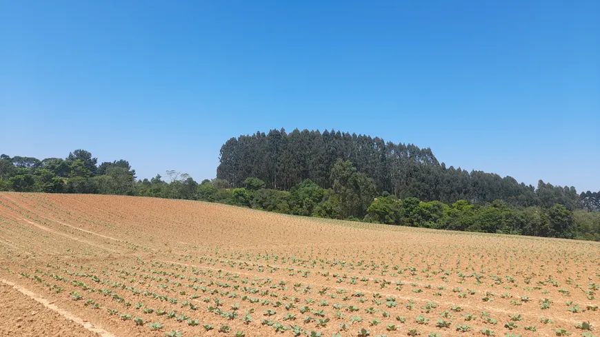 Foto 1 de Fazenda/Sítio com 2 Quartos à venda, 30000m² em Zona Rural, Tijucas do Sul