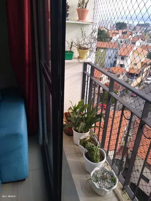 Foto 1 de Apartamento com 3 Quartos à venda, 63m² em Jardim Dracena, São Paulo
