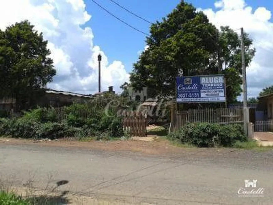 Foto 1 de Lote/Terreno para alugar em Chapada, Ponta Grossa