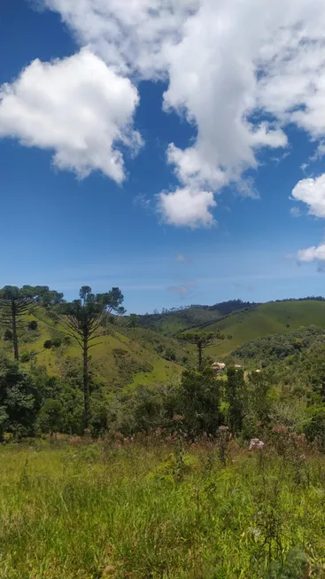 Foto 1 de Fazenda/Sítio à venda, 70000m² em Centro, Cunha