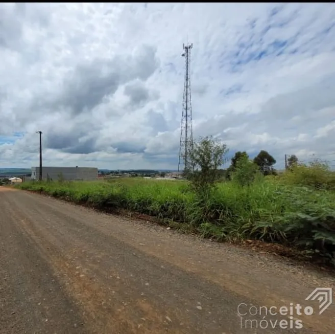 Foto 1 de Fazenda/Sítio à venda, 628m² em Chapada, Ponta Grossa