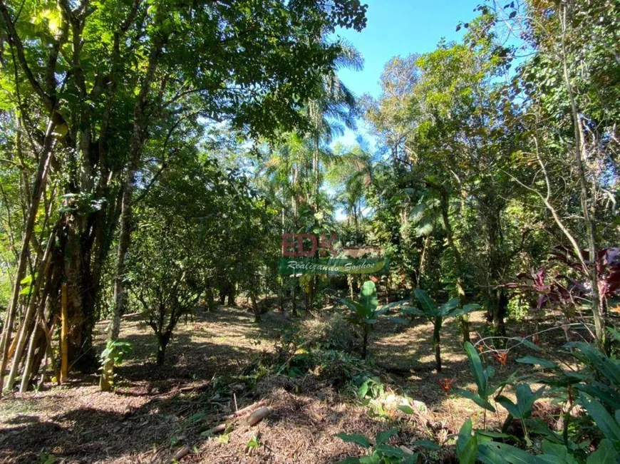 Foto 1 de Lote/Terreno à venda, 650m² em Sertao do Piavu, São Sebastião