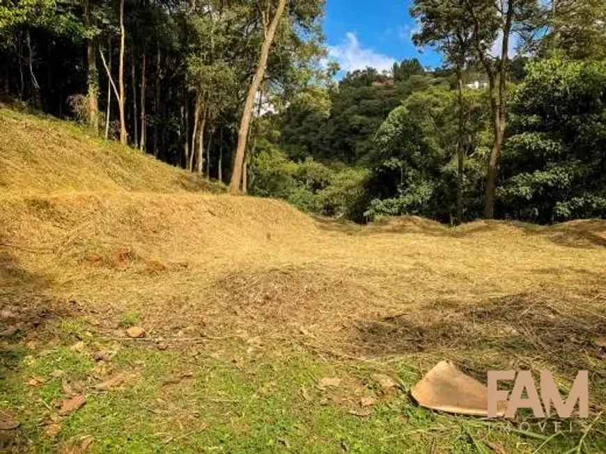 Foto 1 de Lote/Terreno à venda, 3000m² em Vila  Alpina, Nova Lima