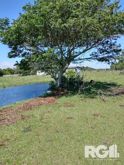 Foto 1 de Fazenda/Sítio com 2 Quartos à venda, 110m² em Lami, Porto Alegre