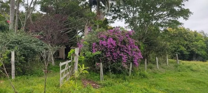 Foto 1 de Fazenda/Sítio com 3 Quartos à venda, 160000m² em Centro, Capela de Santana