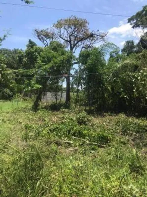 Foto 1 de Lote/Terreno à venda, 192m² em Jardim Maramba, Itanhaém