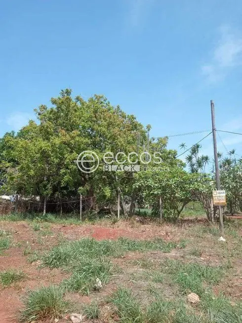 Foto 1 de Fazenda/Sítio com 3 Quartos à venda, 70m² em Parque das Andorinhas, Uberlândia