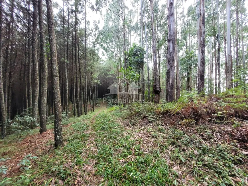 Foto 1 de Lote/Terreno à venda, 60500m² em , Bocaiúva do Sul