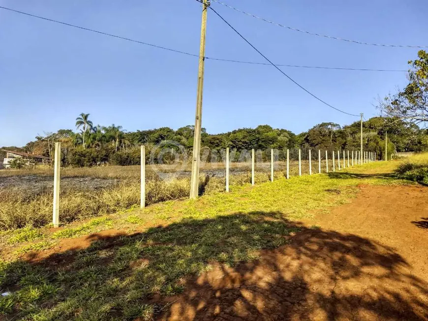 Foto 1 de Lote/Terreno para alugar, 8300m² em Sitio Moenda, Itatiba