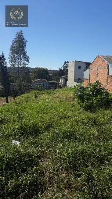 Foto 1 de Lote/Terreno à venda, 500m² em Vila Elsa, Viamão