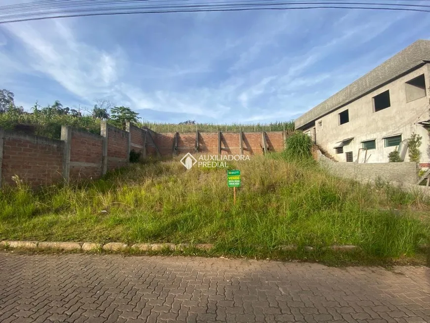 Foto 1 de Lote/Terreno à venda, 306m² em Sao Joao, Dois Irmãos