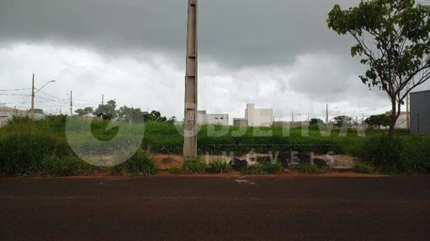 Foto 1 de Lote/Terreno à venda, 279m² em Loteamento Portal do Vale II, Uberlândia