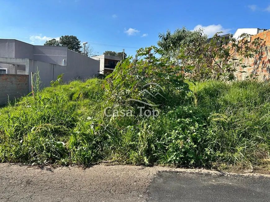 Foto 1 de Lote/Terreno à venda, 303m² em Neves, Ponta Grossa