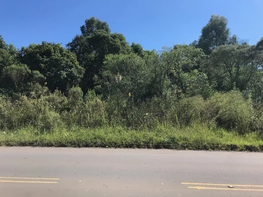 Foto 1 de Lote/Terreno à venda em Santa Fé, Caxias do Sul