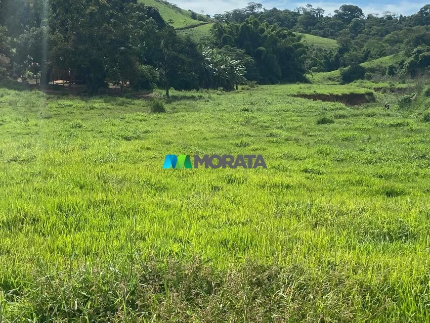 Foto 1 de Fazenda/Sítio com 1 Quarto à venda, 135m² em Zona Rural, Rio Casca