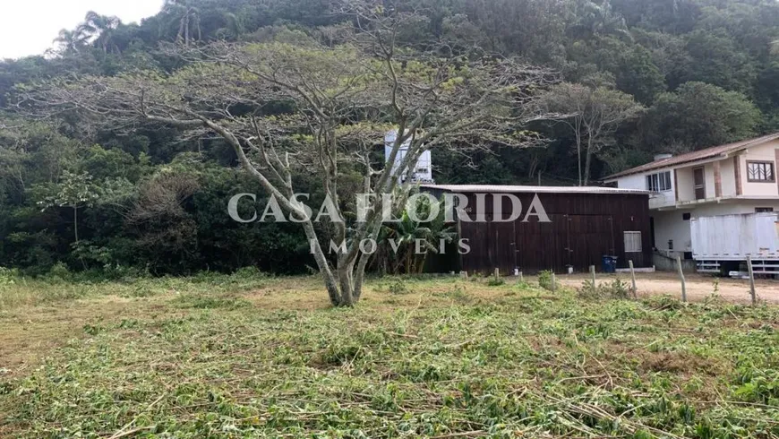 Foto 1 de Lote/Terreno à venda, 20000m² em Armação, Florianópolis