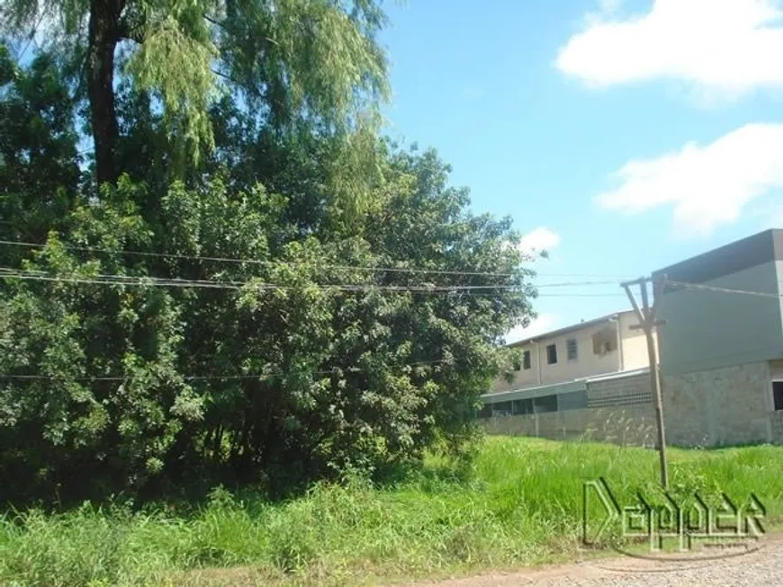 Foto 1 de Lote/Terreno à venda em Rincão, Novo Hamburgo