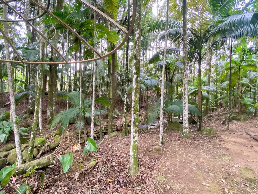 Foto 1 de Fazenda/Sítio com 2 Quartos à venda, 6600m² em Lageado, Guabiruba