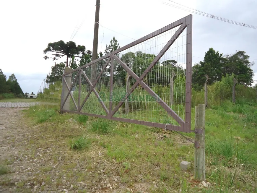 Foto 1 de Lote/Terreno para alugar, 25000m² em Cidade Nova, Caxias do Sul