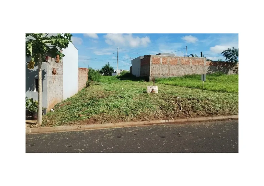 Foto 1 de Lote/Terreno à venda, 200m² em Jardim das Palmeiras, Bady Bassitt
